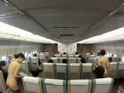 Japanese Nude Flight Attendant